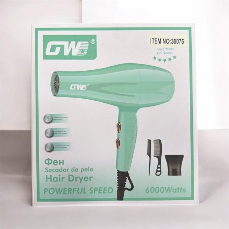 سشوار GW 6000watts